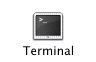 Terminal